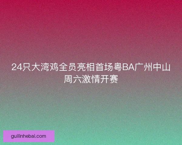 24只大湾鸡全员亮相首场粤BA广州中山周六激情开赛
