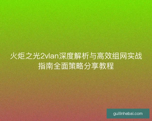 火炬之光2vlan深度解析与高效组网实战指南全面策略分享教程